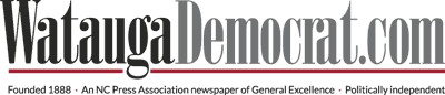 wataugaDemocrat logo